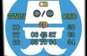 prediksi china 29 november 2024