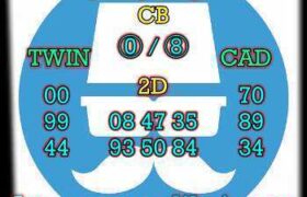 prediksi china 24 juni 2025