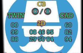 prediksi hk 8 november 2025